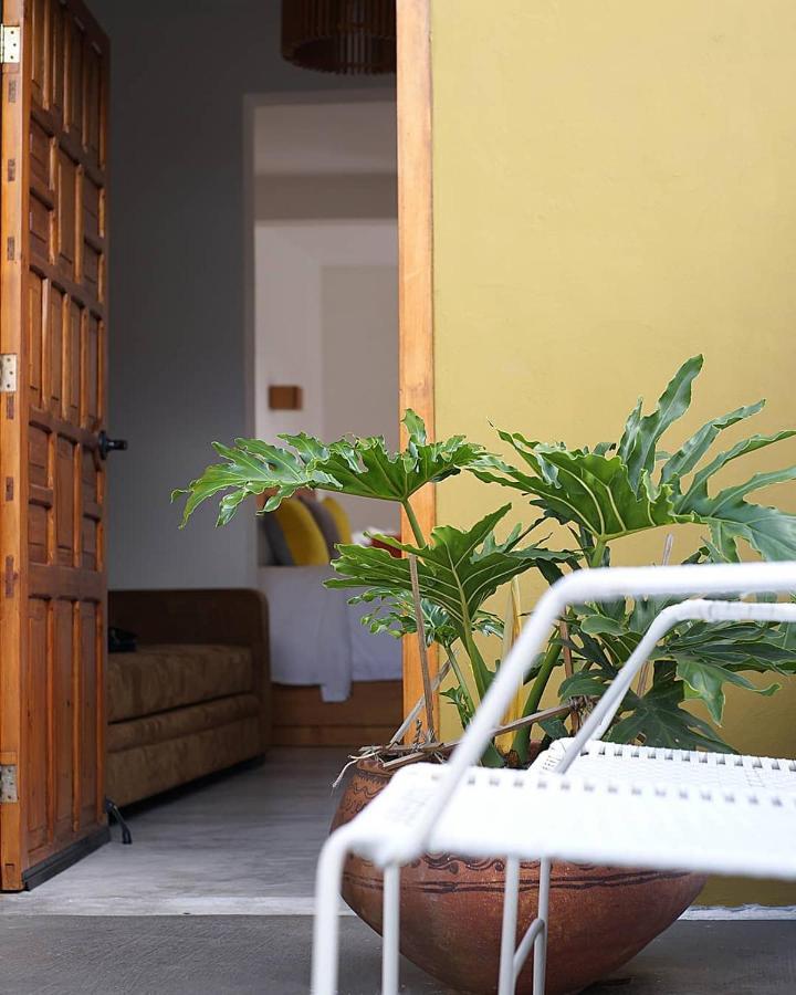 فندق Casa Cafeologo San Cristóbal de Las Casas المظهر الخارجي الصورة